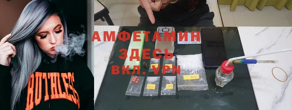 сатива Володарск